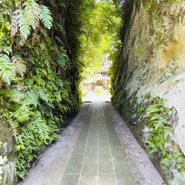 Conquering the Sacred Summit: A Solo Summer Hike Up Mount Jinmu-ji, Kanazawa
