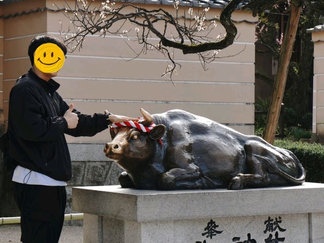 ⛩️: Dazaifu Tenmangu เที่ยวฟุกุโอกะ ญี่ปุ่น