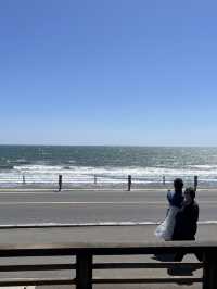 🌊⛩️🐾 Enoshima – Island of Shrines, Cats, and Sea Breeze