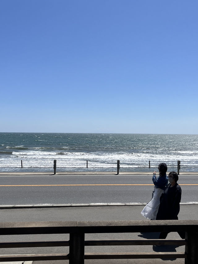 🌊⛩️🐾 Enoshima – Island of Shrines, Cats, and Sea Breeze
