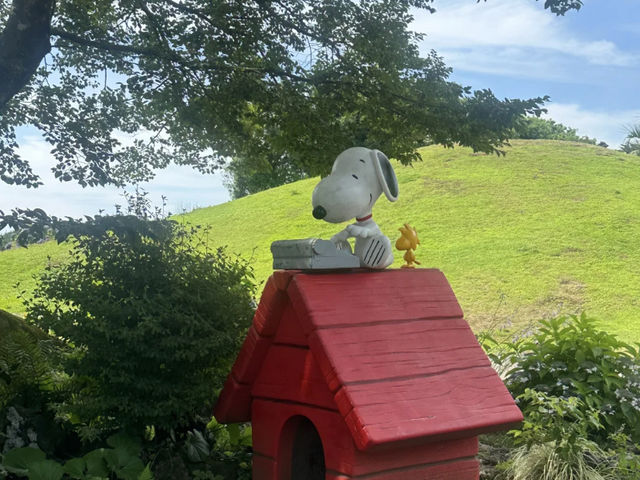 Lost in Snoopy's World: My Trip to Jeju Snoopy Garden! 🐶💖