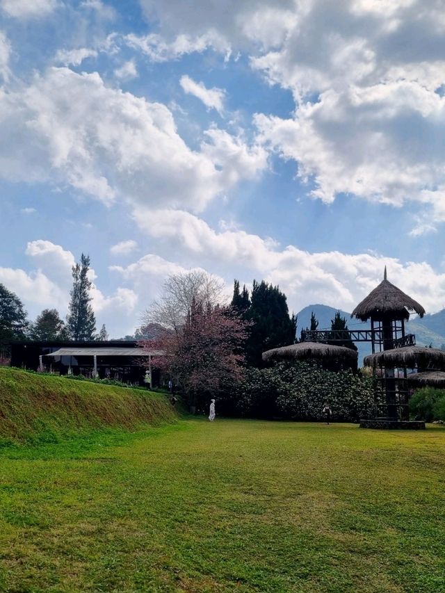 เที่ยวเชียงใหม่ ดอยอ่างขาง