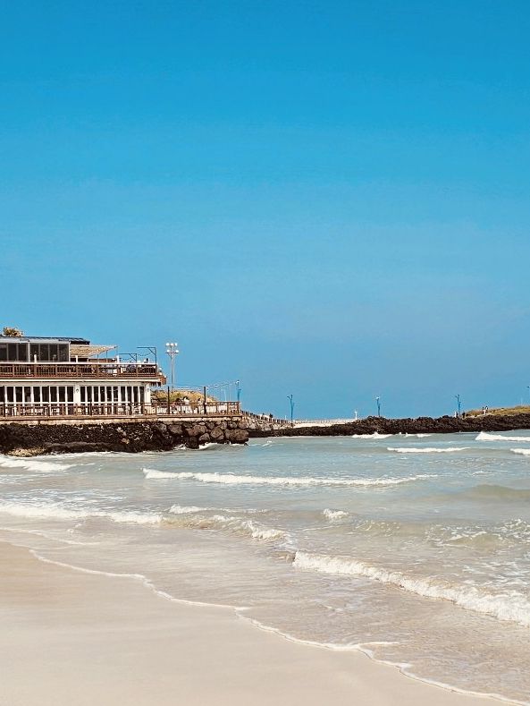 A Lively Coastal Town with Great Amenities
