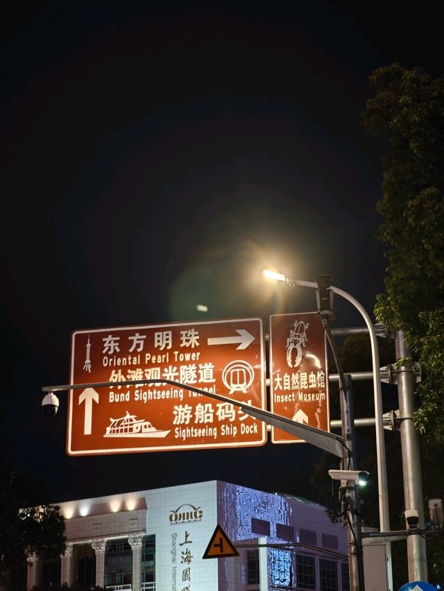 ✨An All-Day Adventure in Downtown Shanghai✨