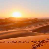 【大地の洗礼】サハラ砂漠🏜️