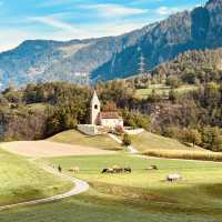 🏔️ Solo Alpine Escape: Swiss Summer Magic