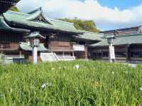 Path of Light: A Visit to Miyajidake Shrine