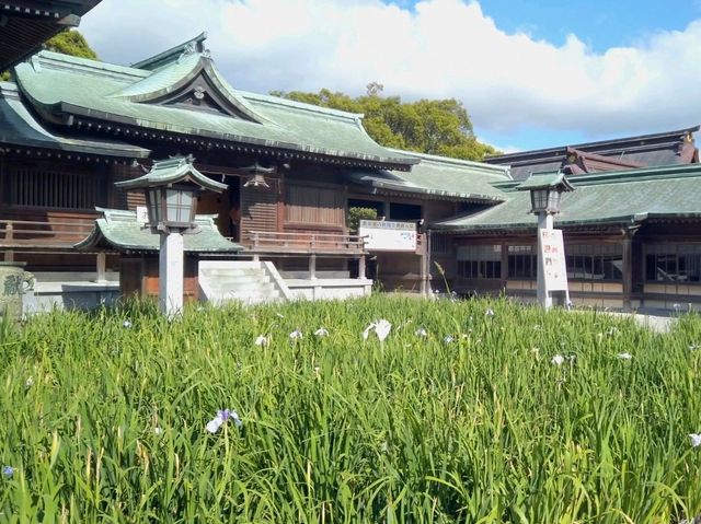 Path of Light: A Visit to Miyajidake Shrine