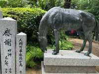 Path of Light: A Visit to Miyajidake Shrine