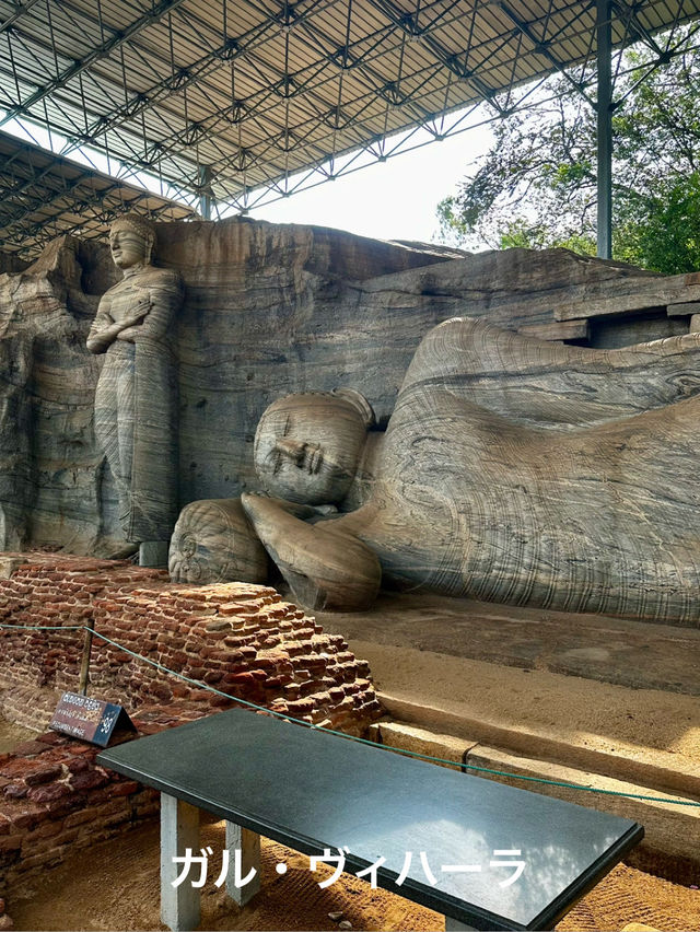 🇱🇰 スリランカ旅行記　VOL.1