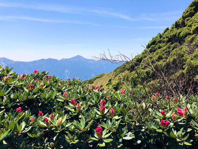 台灣百岳 石門山 合歡東峰 初階版
