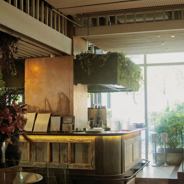 Modern Comfort in a Canopy of Light