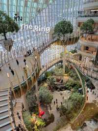 ห้าง The Ring ในฉงชิ่ง