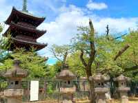 Peaceful Strolls at Ueno Park – A Calm Corner in Tokyo