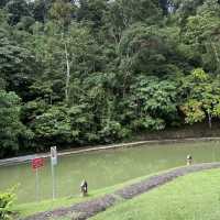 A Forest Hideaway Above the Highlands – My Visit to Pineyard Café, Genting