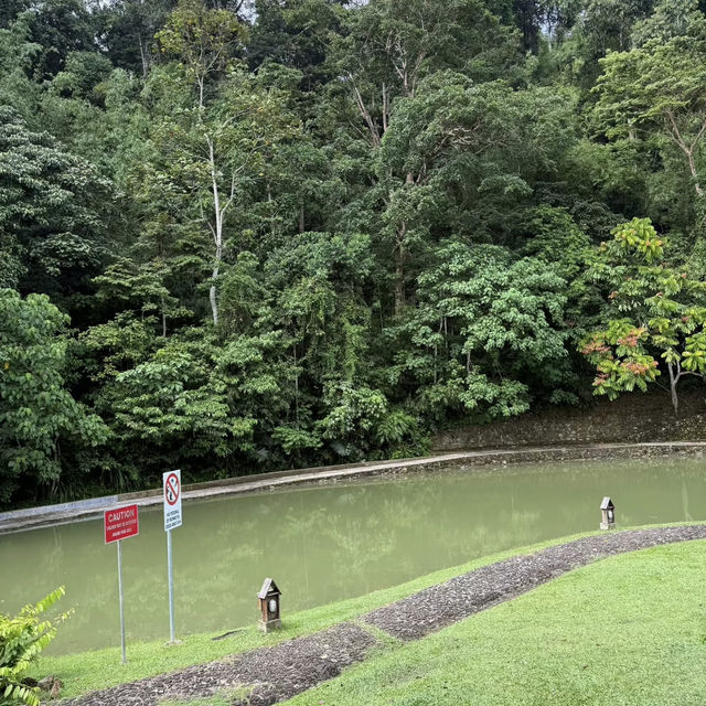 A Forest Hideaway Above the Highlands – My Visit to Pineyard Café, Genting
