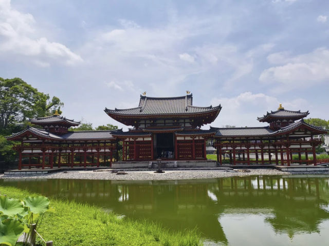 Japan Trip: Fushimi Inari, Uji & a Detour for Lucky Cats! 🇯🇵🐱