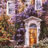 Holland Park of Kensington