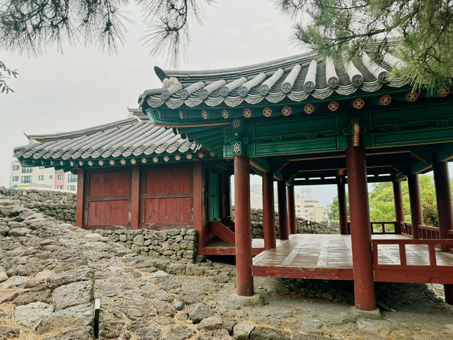 제이각을 정면으로 본 날 ❤️