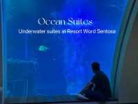 Underwater Dreams at Ocean Suites