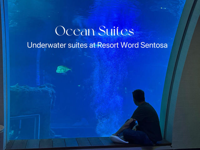 Underwater Dreams at Ocean Suites