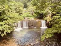 ⛩️ 絕景寺廟大挑戰！三德山三佛寺⚠️ 還有谷川天狗堂豆腐咖啡！