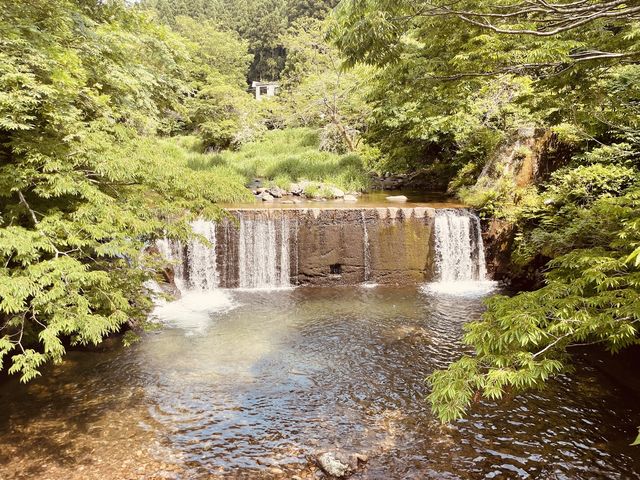 ⛩️ 絕景寺廟大挑戰！三德山三佛寺⚠️ 還有谷川天狗堂豆腐咖啡！
