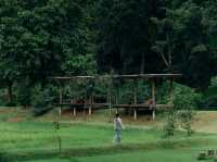 GOODFARM - สวนผักกูดฮิมม่อน น่าน