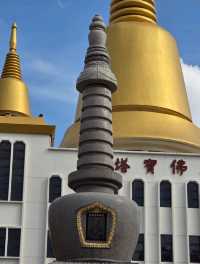 A Sacred Capsule of Compassion