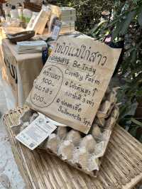 นั่งชิลริมธารที่ @ บางพระเรือ ณ ห้วยท่าไทร