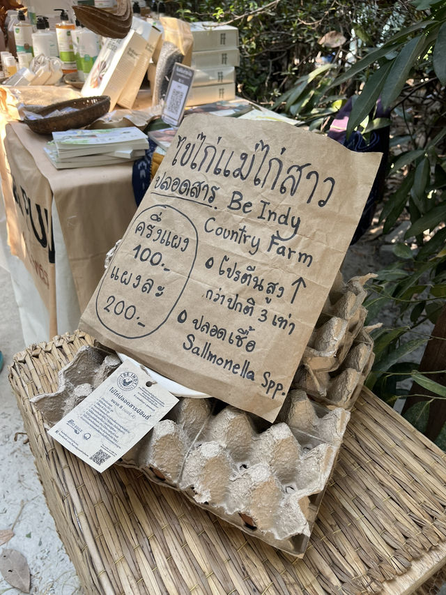นั่งชิลริมธารที่ @ บางพระเรือ ณ ห้วยท่าไทร