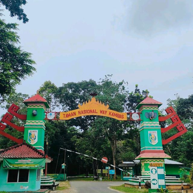 Way Kambas National Park, Lampung