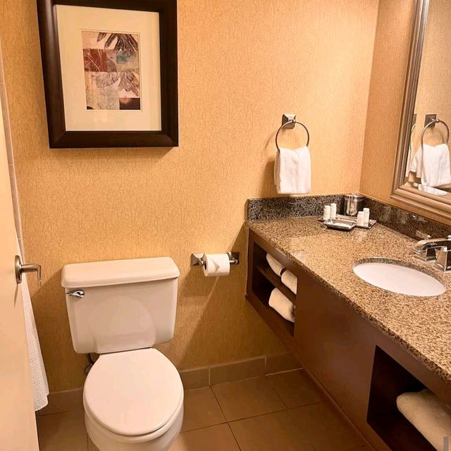 Hyatt Regency Houston