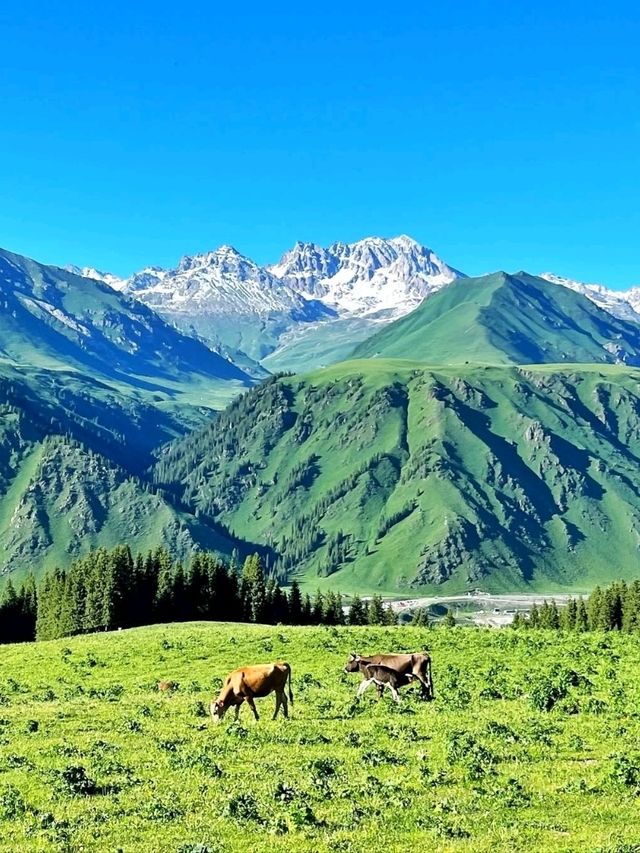 Endless Vibes & Wild Beauty: Ili Kazakh Prefecture Totally Stole My Heart