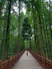 Dujiangyan Is Where Nature and Ancient Engineering Just Flex