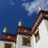 Ganden Sumtseling Monastery’s Golden Glow