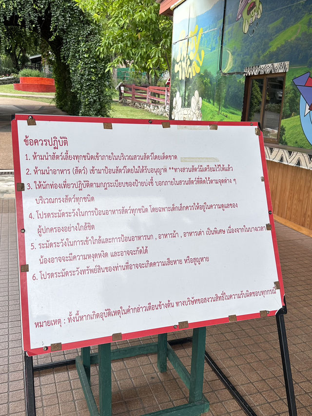 ถ่ายรูปเช็คอินสายชิล @โบนันซ่าเอ็กโซติกซู 🏕️