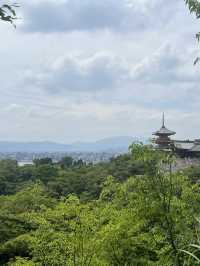 Magic, Streets & Shrines: From Osaka to Kyoto via Nara