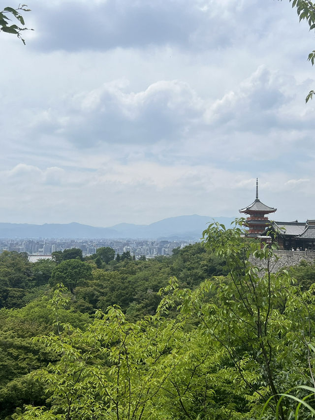 Magic, Streets & Shrines: From Osaka to Kyoto via Nara