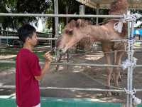 2D1N Family Getaway at Desaru 