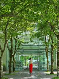 触れて、歩いて、感じる芸術旅🚶‍♀️🪵✨