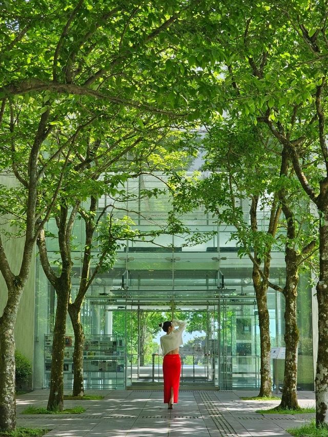 触れて、歩いて、感じる芸術旅🚶‍♀️🪵✨