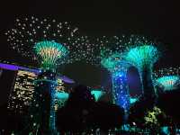 Enchanting Nights at Supertree Grove: A Dazzling Dance of Light and Nature