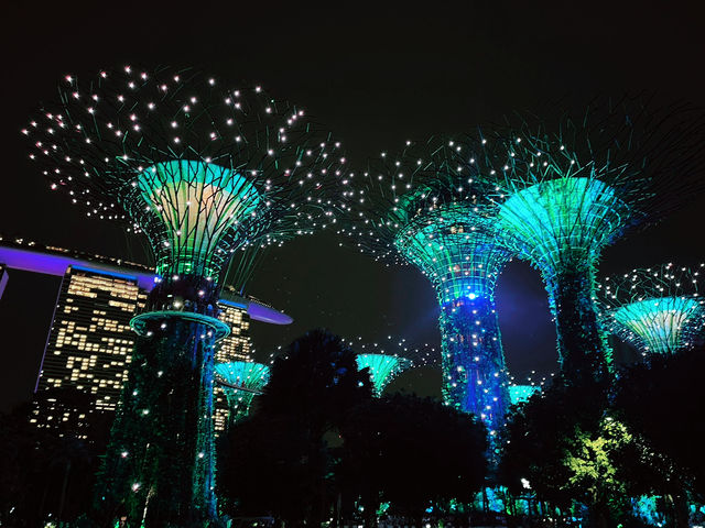 Enchanting Nights at Supertree Grove: A Dazzling Dance of Light and Nature