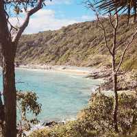 **🌿🏖️ *Noosa National Park: Sunshine Coast’s Coastal Paradise* 🐬🌊**  