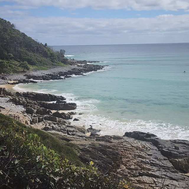 **🌿🏖️ *Noosa National Park: Sunshine Coast’s Coastal Paradise* 🐬🌊**  
