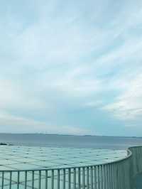 🏛️横須賀美術館 - 海と山に抱かれるアートの空間