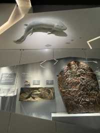 🇭🇰 Paleontology Gallery in Hong Kong Science Museum