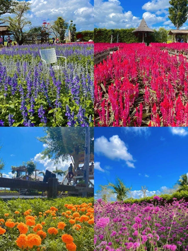 สวนลุงเวศน์  𝚐𝚛𝚎𝚎𝚗 𝚣𝚘𝚗𝚎 🍀👨‍🌾🌳 