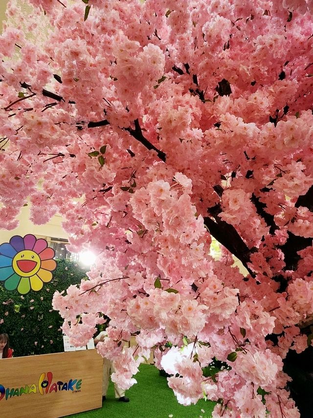 大雨後的金鐘和村上隆的太陽花